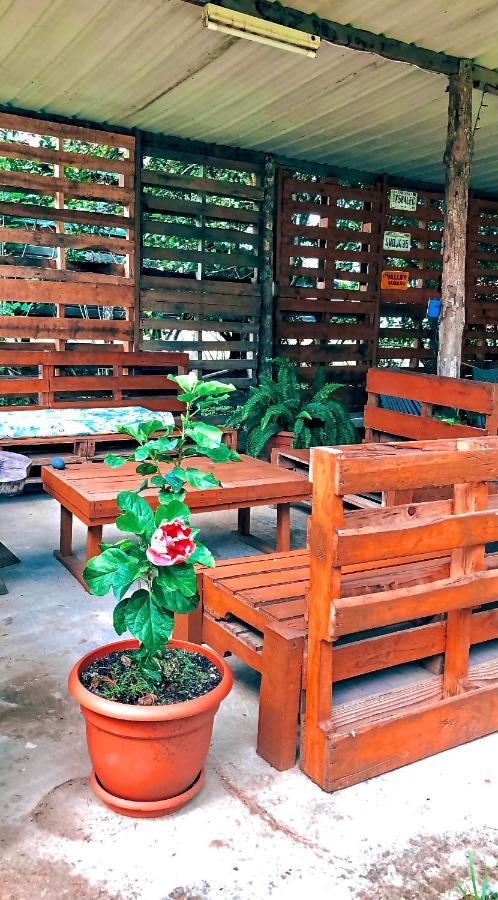 Mana Kai Camping & Cabins San Ignacio Dış mekan fotoğraf