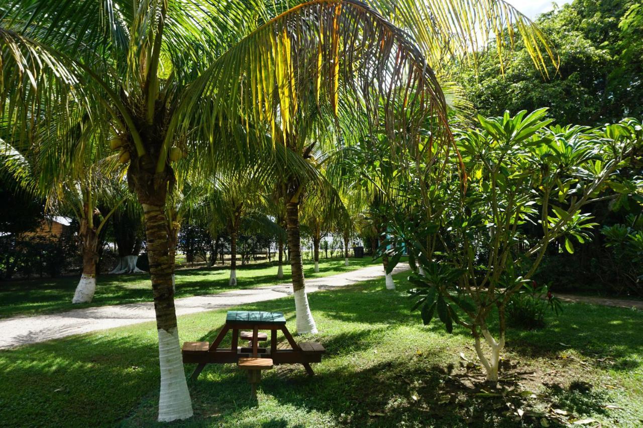 Mana Kai Camping & Cabins San Ignacio Dış mekan fotoğraf